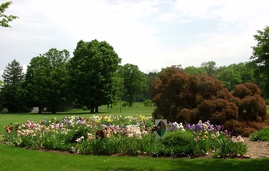 carol moyer iris garden-2007.jpg